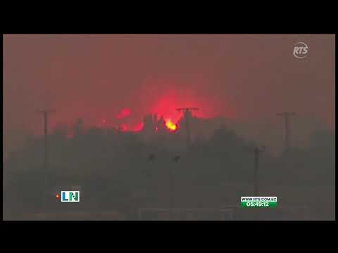 Chile en llamas: incendios forestales dejan más de mil muertos