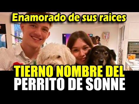 Oliver Sonne honra a Perú al llamar a su mascota 'Alpaca' y conmueve a peruanos
