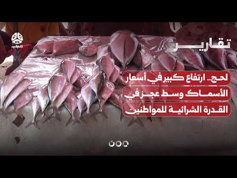 لحج.. ارتفاع كبير في أسعار الأسماك وسط عجز في القدرة الشرائية للمواطنين