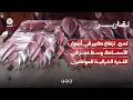 لحج.. ارتفاع كبير في أسعار الأسماك وسط عجز في القدرة الشرائية للمواطنين
