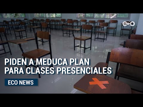 Piden al Meduca plan piloto para inicio de clases presenciales en el país | Eco News
