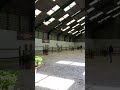 Show jumping horse Springpaard van Cohinoor met potentie