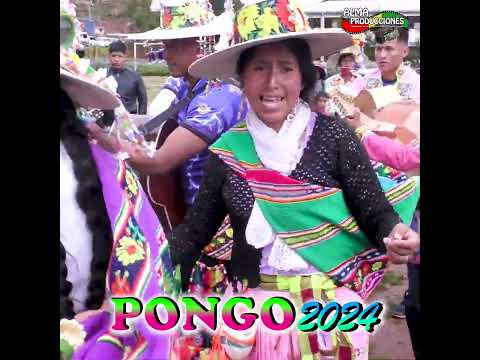 Carnaval de PONGO 2024, Festival Andino, Q3 - Qhonqota.#shorts
