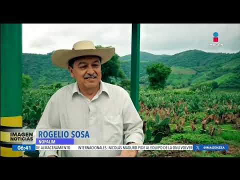 Campesino crea gas a base del nopal | Noticias con Francisco Zea