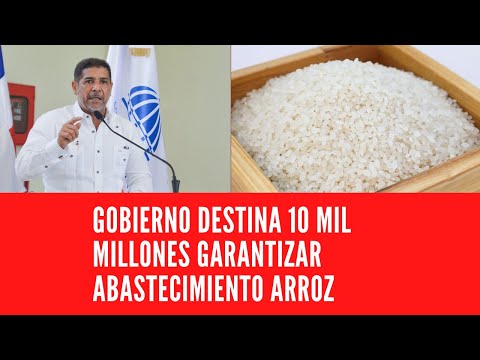 GOBIERNO DESTINA 10 MIL MILLONES GARANTIZAR ABASTECIMIENTO ARROZ