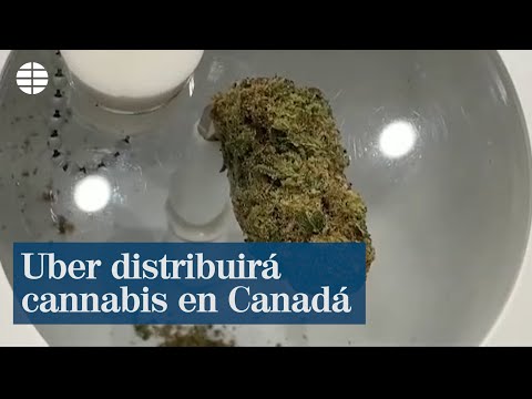 Uber distribuirá cannabis en Canadá