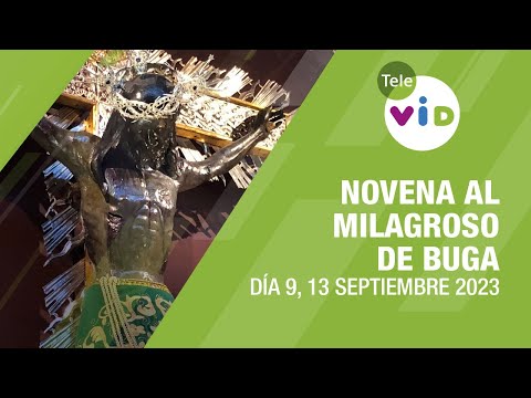 Novena al Milagroso de Buga Día 9  13 de Septiembre 2023 #TeleVID #MilagrosoDeBuga