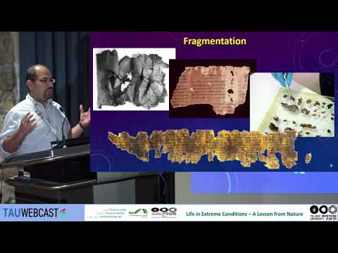 Reconstructing History by Genetics: The DNA of the Dead Sea Scrolls