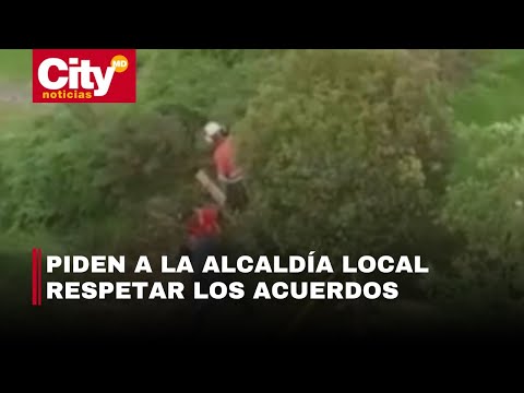 Denuncian tala indiscriminada de árboles en el barrio Mazurén, en Suba | CityTv