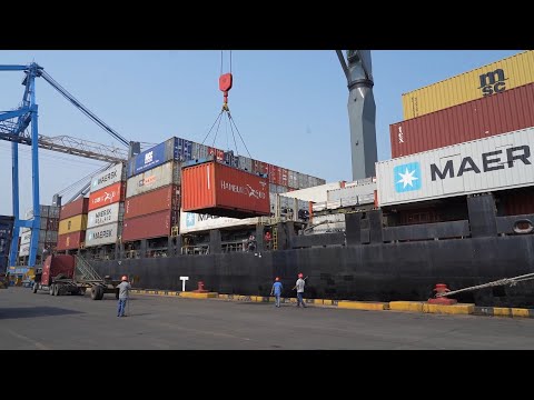 Empresa portuaria nacional registra el ingreso de 10 buques internacional al país
