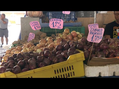 La cebolla mantiene precio elevado en Merca Panamá