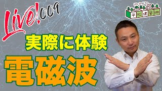 【実体験から答える】電磁波の質問何でもいらっしゃい