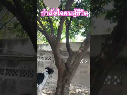 27มกราคม2568