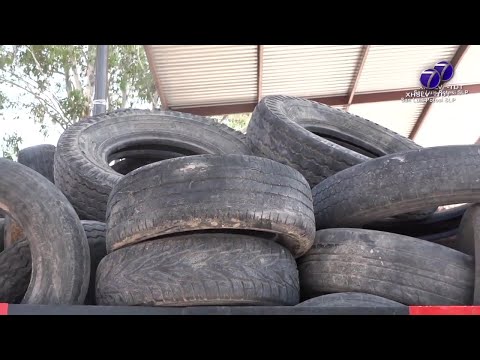 32 toneladas de neumáticos recuperó el Ayuntamiento Capitalino con el programa Llantatón