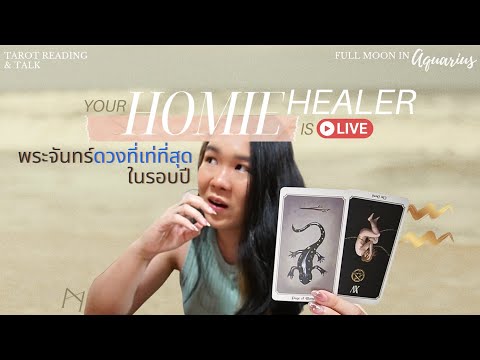 ✧LIVE✧จริงๆไม่เคยมีอะไรสูญหาย