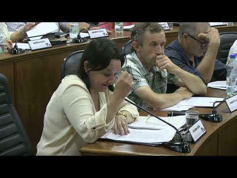 Presentación de informes Partido Nacional - Silvana Goñi