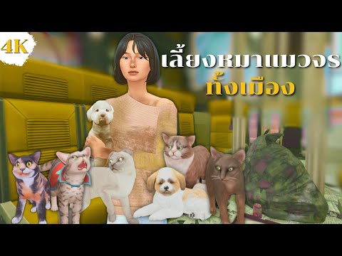 EP1|เริ่มจาก0แต่เปิดสถานรับ