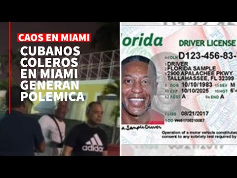 ESTO NO PUEDE SER: Coleros cubanos en Miami organizan cola para la licencia de conducir