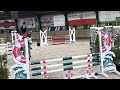 Show jumping horse Lieve talentvolle 5 jarige springmerrie