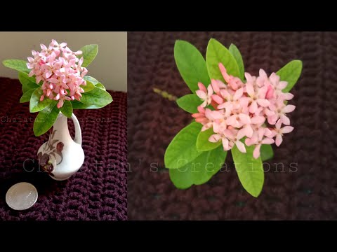 Pink-Ixora-hybrid-flowers-ดอกเ Pink-Ixora-hybrid-flowers-ดอกเ