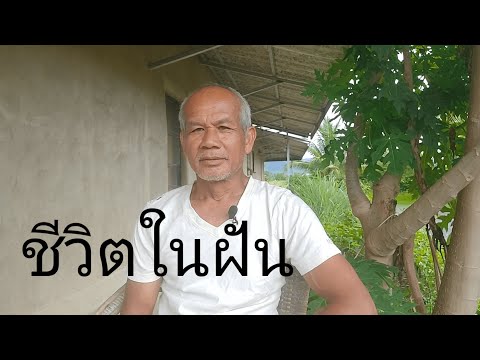 ชีวิตในฝัน