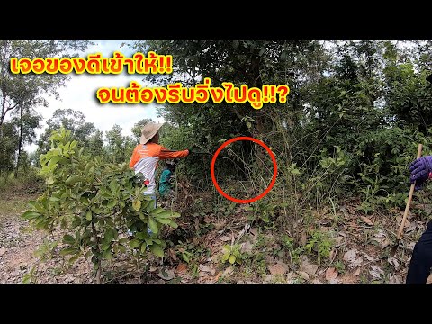 เจอของดีเข้าให้!!-จนต้องรีบวิ่ เจอของดีเข้าให้!!-จนต้องรีบวิ่