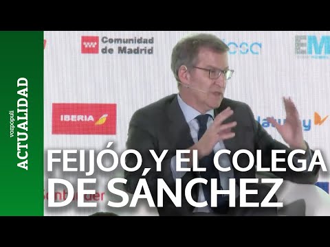 Feijóo critica que un colega de Sánchez se proponga para el consejo de Telefónica