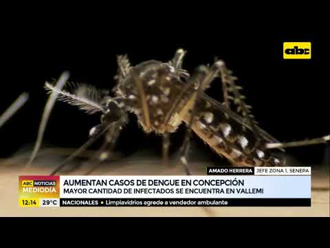 Aumentan casos de dengue en Concepción