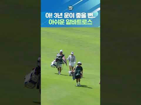 아..보는 것도 힘들다는 알바트로스인데!