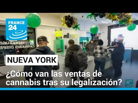La venta legal de cannabis en Nueva York ha generado menos ingresos de los esperados • FRANCE 24