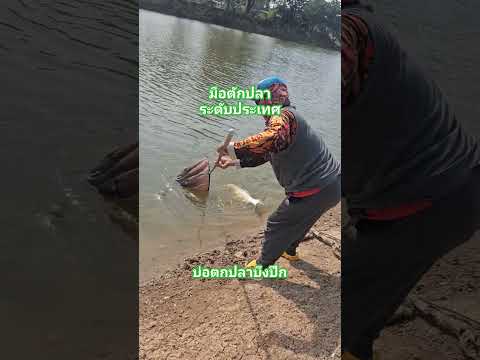 หลิวอินดี้ มือตักปลาระดับประเทศบ่อตกปลาบึงปึกหลิวอินดี้ชิงหลิวfishingfi