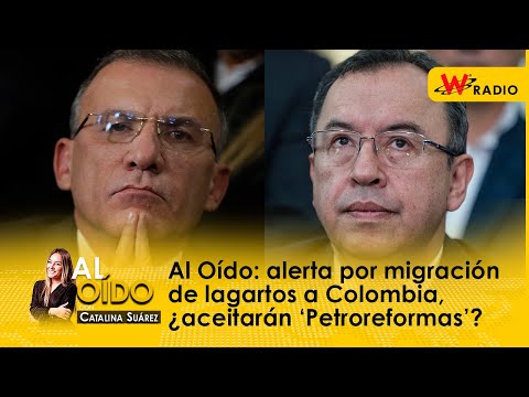 Al Oído: alerta por migración de lagartos a Colombia, ¿aceitarán ‘Petroreformas’?