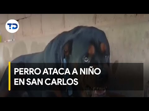 Niño de tres años y su madre fueron atacados por perro en San Carlos