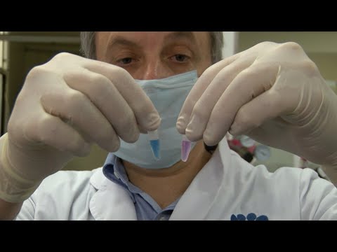 Cómo es el test de diagnóstico de coronavirus creado en el país