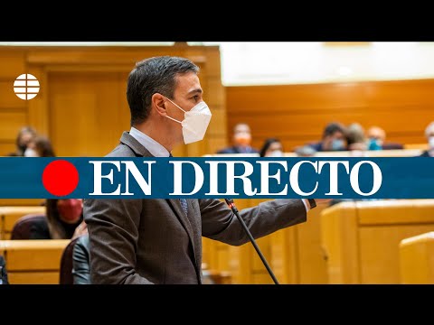 DIRECTO SENADO | Pedro Sánchez acude a la sesión de control en medio de la polémica por el espionaje