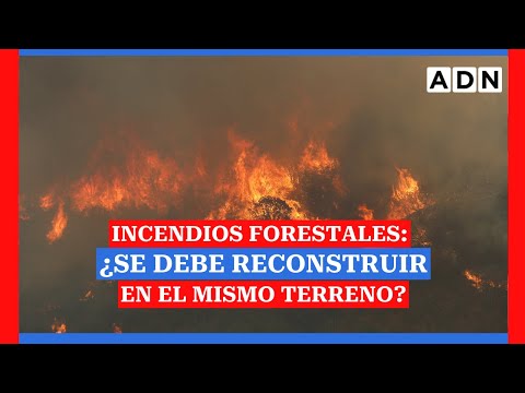 Incendios forestales: ¿Se debe reconstruir en el mismo terreno?