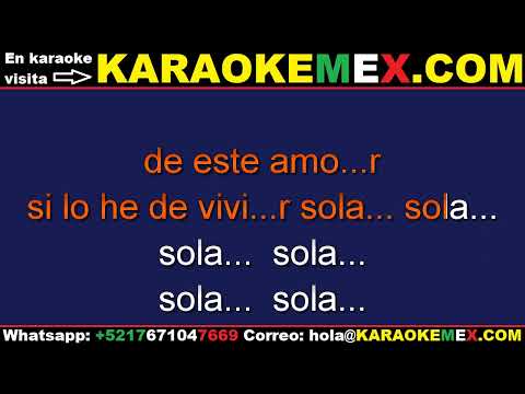 letra rocio durcal - sola