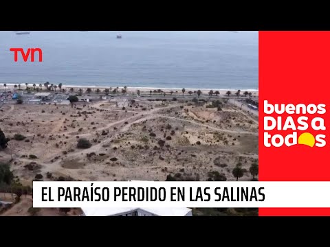 El paraíso perdido en Las Salinas: Terreno divide a vecinos e inmobiliaria en Viña del Mar