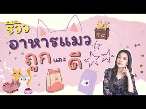 รีวิวอาหารแมวถูกและดีไม่เค็ม!