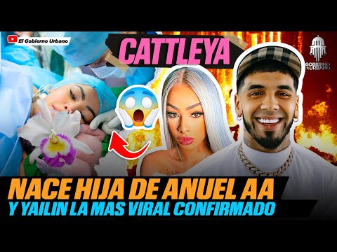 NACIO LA HIJA DE ANUEL AA Y YAILIN CONFIRMADO FUENTE OFICIAL Domiplay