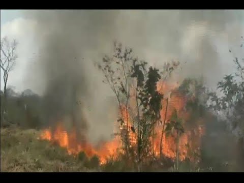 Coordinan acciones para sofocar incendios forestales