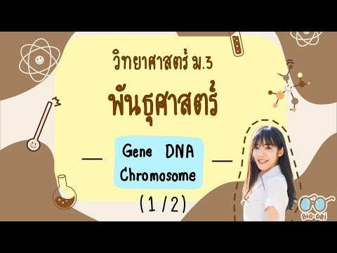 สรุปพันธุศาสตร์ม.3-GeneDN