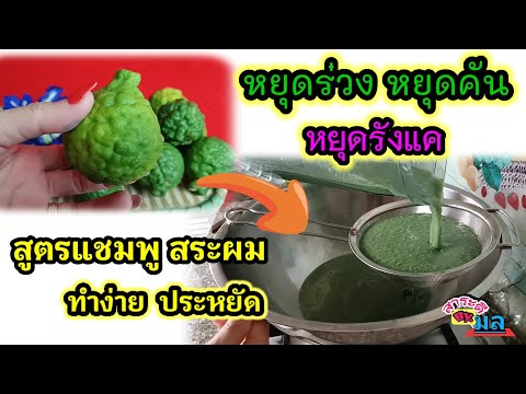 สูตรทำแชมพูสระผมใช้เองสูตรธรรม สูตรทำแชมพูสระผมใช้เองสูตรธรรม