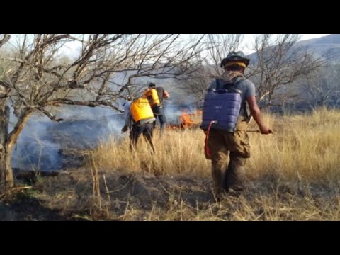 Alto riesgo de incendios forestales, registra Región Media