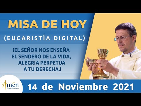 Misa de Hoy Domingo 14 de Noviembre 2021 l Padre Carlos Yepes