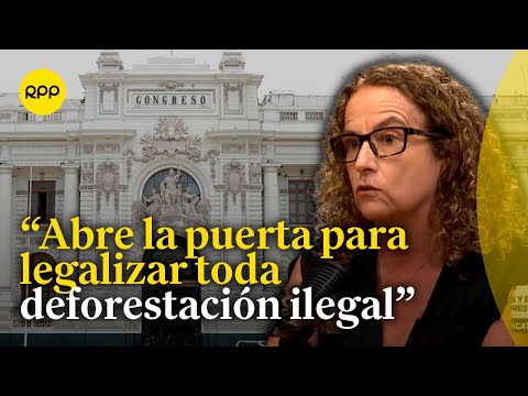 Julia Urrunaga denuncia posible legalización de deforestación ilegal en Perú