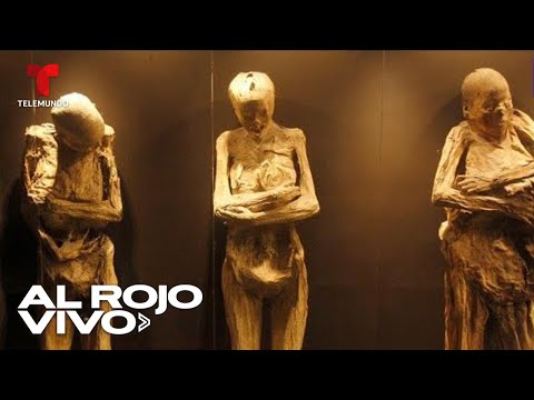 Agencia Federal de Arqueología acusa a museo de maltratar una momia del siglo XIX