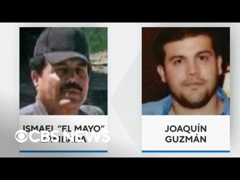 El Chapo son arrested in Sinaloa cartel luring operation