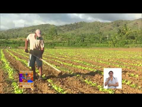 Cuba: Avances de la Agricultura Urbana en Guantánamo