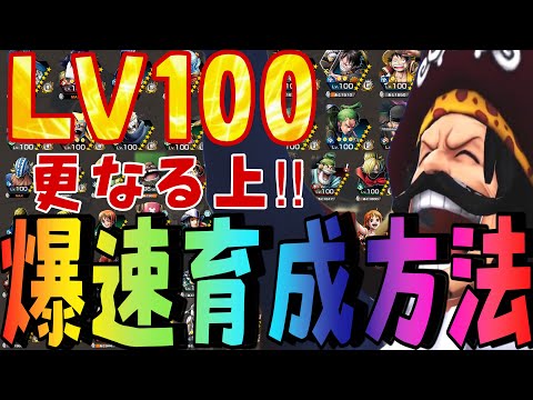 まじでやってほしい‼︎超育成方法‼︎LV100にする最速は？【バウンティラッシュ】